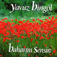 Vay Le Le - Yavuz Bingöl