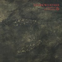Shards - Starkweather