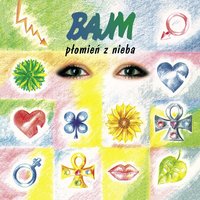 Belle Ami - Bajm