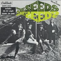 Excuse, Excuse - The Seeds