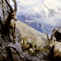 Aspen - Velveteen