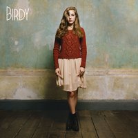 Shelter - Birdy