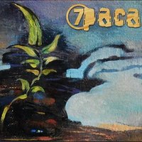 Р.Н.Г. - 7Раса