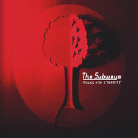 Holiday - The Subways