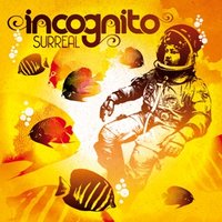 Capricorn Sun - Incognito