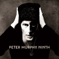 Seesaw Sway - Peter Murphy