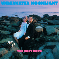 Alien - The Soft Boys