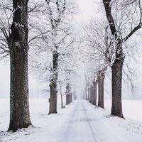 St. Nick - Sunset Chill Out Music Zone, Christmas Carols Consort, Relaxing Spa Music