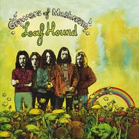 Stagnant Pool - Leaf Hound