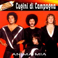 Brividi D' Amore - I Cugini Di Campagna