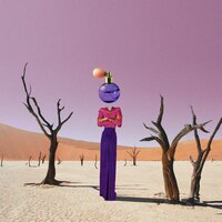 Lies Animals Tell - Nova Charisma