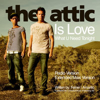 The Attic