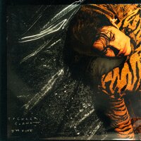 Torture - Spencer Barnett