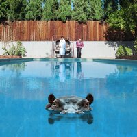 Bummer - Sparks