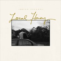 Hard Feelings - Brian Fallon