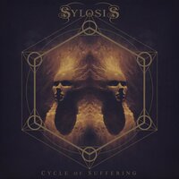 Shield - Sylosis