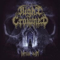 Reborn - Night Crowned