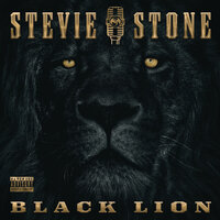 Still Standing - Stevie Stone