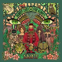 Settle Down - Skott