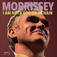 Knockabout World - Morrissey, Steve Aho