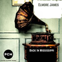 I Believe - Elmore James