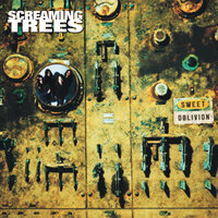 Nearly Lost You - Screaming Trees
