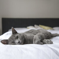 Deep Sleep - Study Music & Sounds, Tibetan Singing Bowls for Relaxation, 俊倩