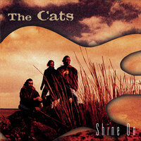 These Tears Are Not Mine - The Cats