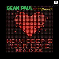 Body - Sean Paul, Dannic