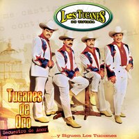 Es Tu Bronca - Los Tucanes De Tijuana