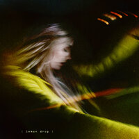 Lemon Drop - Absofacto