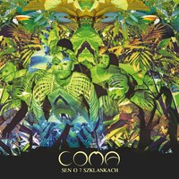 Fantazja - Coma