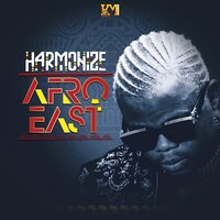 Never Give Up - Harmonize, The World