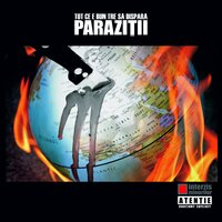 Arde - Parazitii, Cainele