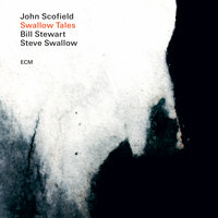 Steve Swallow