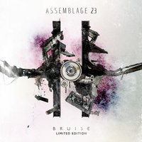 Rain Falls Down - Assemblage 23