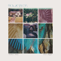 High Rise - Bowerbirds