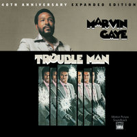 Theme From Trouble Man - Marvin Gaye