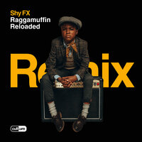 Call Me - Shy Fx, Maverick Sabre