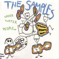 Braidwood - The Samples
