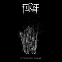 Séance - Furze