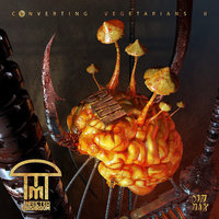 Sense of Direction - Infected Mushroom