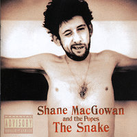 Nancy Whiskey - Shane MacGowan, The Popes