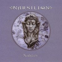 My Pagan Land - Narsilion