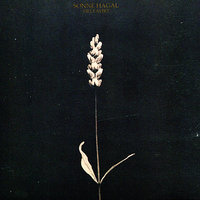 Midwinternight - Sonne Hagal