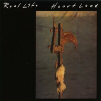 Openhearted - Real Life