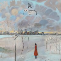 Faceless Boy - Tor Lundvall