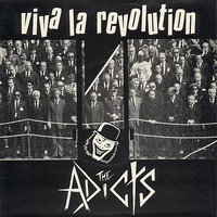 Numbers - The Adicts