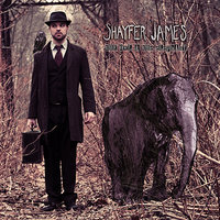 For Now, Goodbye - Shayfer James