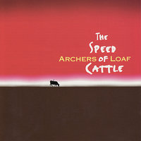 Bacteria - Archers of Loaf